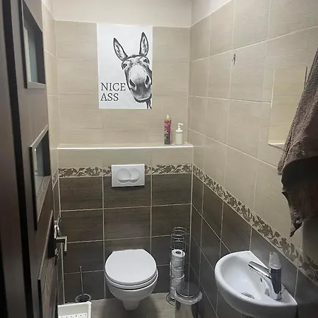 Zr9 * Замарди