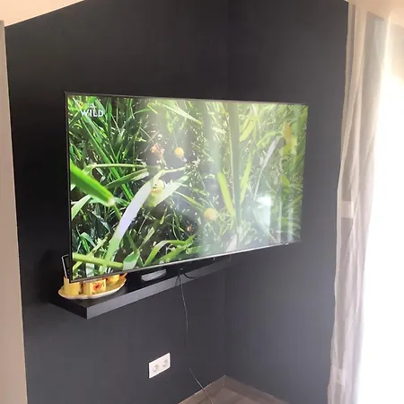 Zr9 * Замарди